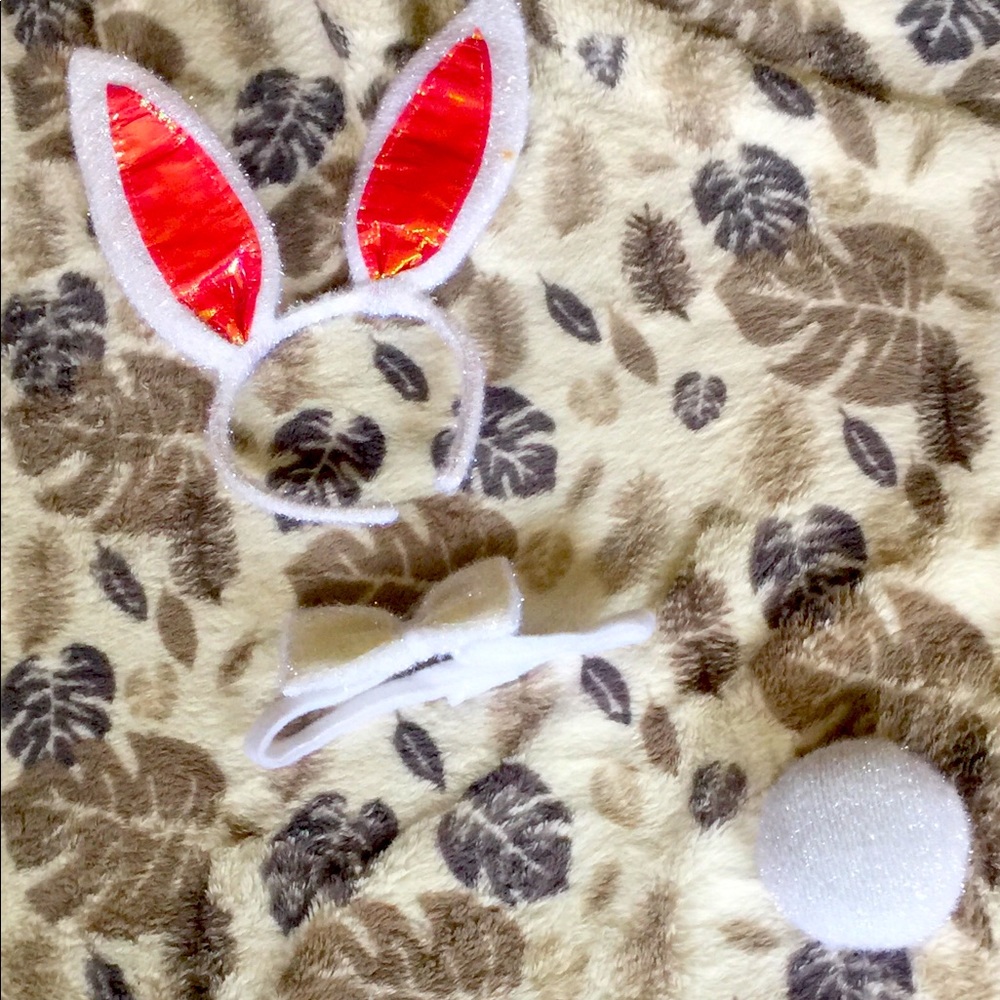 Bunny costume for Halloween only has accessories